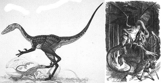 Illustration for article titled 30 Real Animals with Science Fiction Names